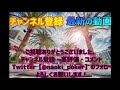 【大ピンチ】オールイン！akvskk【5nl】 キャッシュゲーム