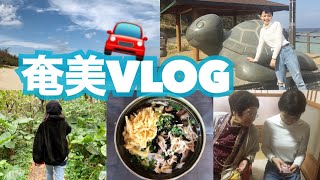 神様と呼ばれてる方に会ってきた【奄美大島VLOG】