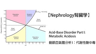 【Nephrology腎臟學】Acid-Base Disorder Part 1: Metabolic Acidosis動脈血氣體分析I：代謝性酸中毒