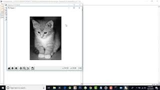 Reading and Writing the Image With Matplotlib