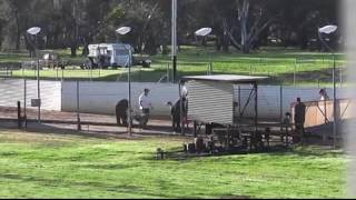 Gunnedah-02072016-Race -10