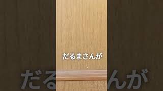 猫は【だるまさんが転んだ】できるのか？　#猫 #だるまさんが転んだ #まるも