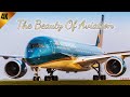 The Beauty Of Aviation