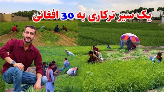 قلعه وزیر کابل، زمین داران سابقه دار و سبزی کابل در گزارش عمران حیدری