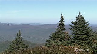 The History of Massachusetts’ Mount Greylock | Connecting Point | Digital Extra