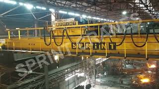 SMS Plant Crane