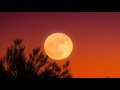 Kali Uchis - After The Storm ft. Tyler, The Creator, Bootsy Collins (432 Hz) HQ