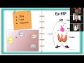 Lab3SeccionL2 MetabolismoBasal