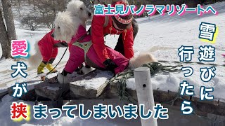 [A couple in their 50s goes on a campervan camping trip!] They just went to play in the snowy mou...
