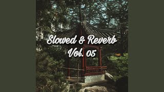Ishare Tere (Slowed & Reverb)