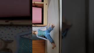 elsa's gymnastics skills