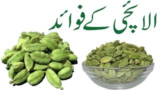 Elaichi khane ke fayde in urdu |Green cardamom Health Benefits