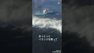 ジャックラッセルテリア　kona タンデムサーフィンの巻　Jackrussell dog surfing