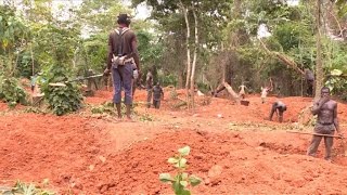 Goldrausch in der Elfenbeinküste