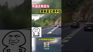 弯道快才是真的...#shorts #交通安全 #交通安全猿 #安全駕駛 #安全第一