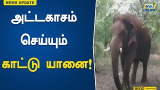 அட்டகாசம் செய்யும் காட்டு யானை! | PressMeet | pollachi  | Elephant