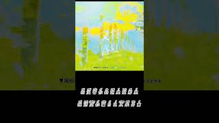 广播剧《某某》第二季 主题曲《又将盛夏》