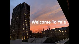 What’s Yale Like?