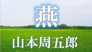 【朗読】燕（つばくろ）　山本周五郎　読み手 アリア