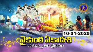 Samskruthika Vaibhavam | 3Pm | Tirumala | Vaikunta Ekadasi Special | 10-01-2025 | SVBC TTD