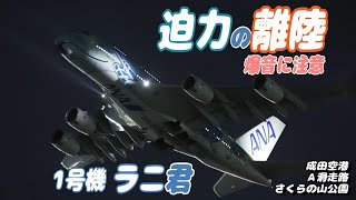 【4K】成田空港 さくらの山公園 34運用 全日空 超巨大旅客機 フライング・ホヌ ラニ君 ハワイへ迫力の離陸