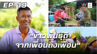 สารคดีชุด ก้าวเพื่อชัยชนะ ตอน ข้าวพันธุ์ดี จากเพื่อนถึงเพื่อน | EP.19