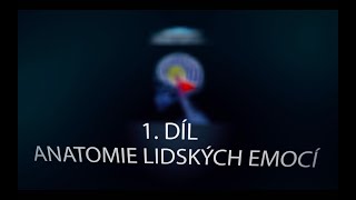 POZNEJME SVÉ EMOCE  ČÁST 1. -  ANATOMIE EMOCÍ