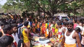 சர்குணம் பம்பை இடும்பன் முருகப் பெருமானுக்கு காவடி இருவரும் இணைந்து நடனமாடும்❤️call6381714817❤️