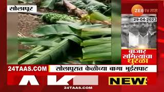 Solapur Rain | करमाळ्यात वादळी वाऱ्यासह पाऊस! केळीची बाग संपूर्ण उद्ध्वस्त | zee 24 taas