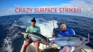 Trolling for Yellowfin Tuna. EXPLOSIVE Strike!