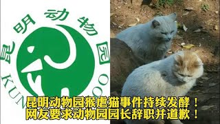 昆明动物园猴虐猫事件持续发酵！网友要求动物园园长辞职并道歉！