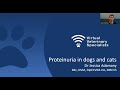 VVS Internal Medicine Webinar- Proteinuria in the Dog and Cat