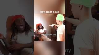 Ray grabs a rat😭