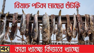 বিষাক্ত পটকা মাছের শুঁটকি কিভাবে করে, কারা খায় / Drying of poisonous puffer fish #Balaram_Mahalder