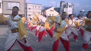 お喜楽家　銭形よさこい2014