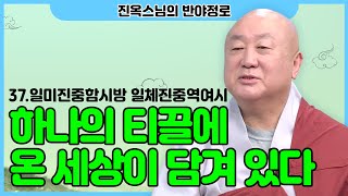 [#반야정로] 37. '입자 하나'에 온 세상과 우주가 담겨있다? 이해하기 어려운 듯 쉬운 #일미진중함시방 #일체진중역여시  | 진옥스님의 반야정로 37회