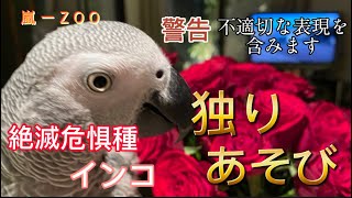 【亡き夫の鳥と生活】下ネタを含みます