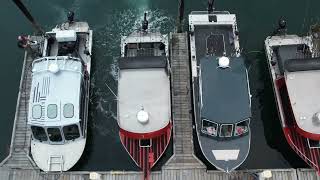 Haida Gwaii Safaris Season Highlights