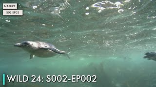Wild 24: S02 EP02