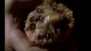 Pepperidge Farm Muffin Commercial (1985)