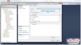 ms sql server 2012 how to create a database role demo