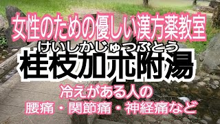 桂枝加朮附湯【腰痛・関節痛・神経痛などに】京都女性漢方まつみ薬局