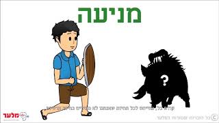 פגיעות בעלי חיים | מלער קורס עזרה ראשונה