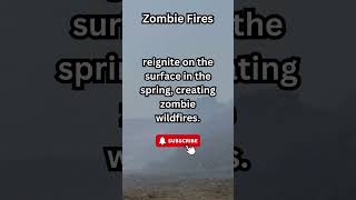 Zombie Wildfires: Peat Fires Smoldering Under Snow, Reawakening in Spring.  #fire #wildfire