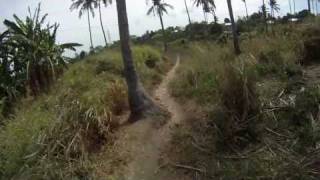 ewan trail (after upak)