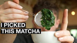 Handpicked Matcha is more Rare than You Think