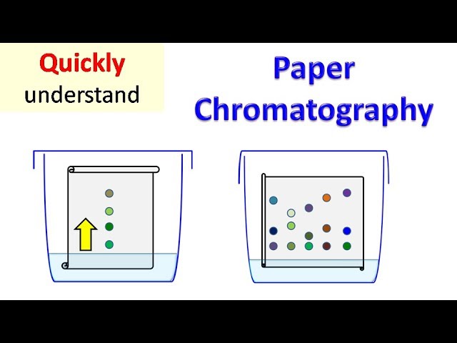 Separation Techniques Paper Chromatography 44 Off