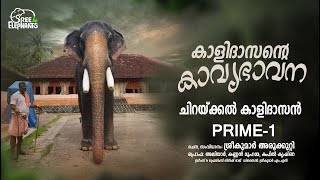 കാളിദാസനും വിനോദും കൊല്ലങ്കോട് വച്ച് മാമ്പിയുമായി കൂട്ടിമുട്ടിയപ്പോൾ..!