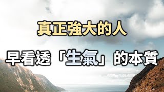 真正強大的人，早就看透了生氣的本質，不讓“生氣”偷走你的情緒和時間 Don’t let \