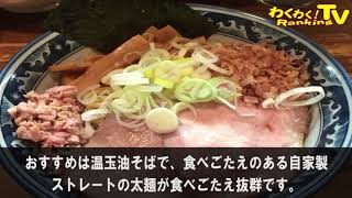 [HD] 【千葉松戸】ラーメン 激戦区 おすすめ 名店 8選 [FULL]